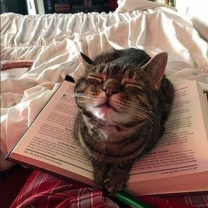 Meet your Posher, Presleigh